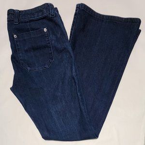 Banana Republic Dark Wash Low Rise Flare Bootcut Jeans